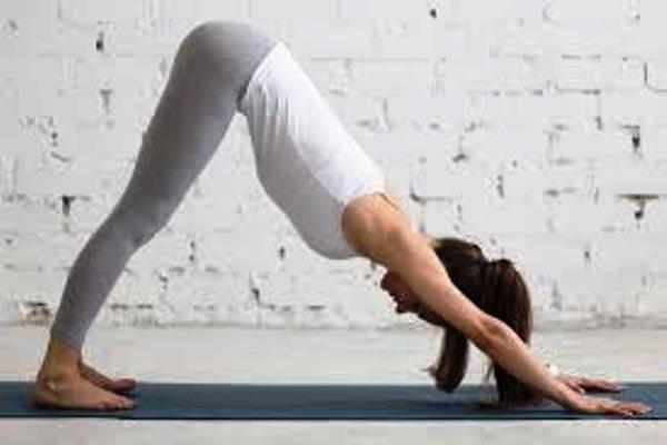 Weekly classes in Pilates and Yoga ~ Single Class